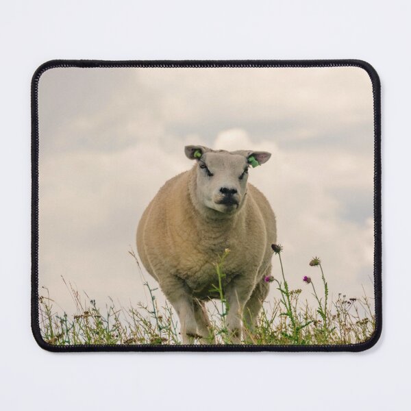 Item preview, Texel sheep designed and sold by koalas1414.