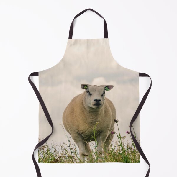 Item preview, Texel sheep designed and sold by koalas1414.