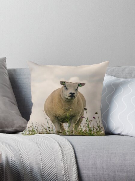 Item preview, Texel sheep designed and sold by koalas1414.