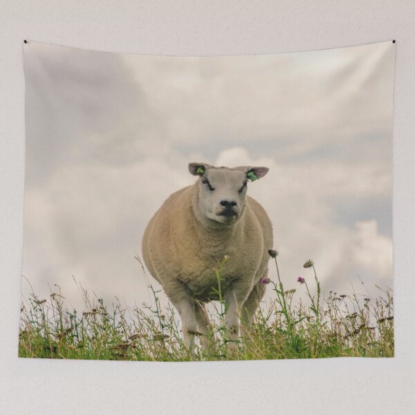 Item preview, Texel sheep designed and sold by koalas1414.