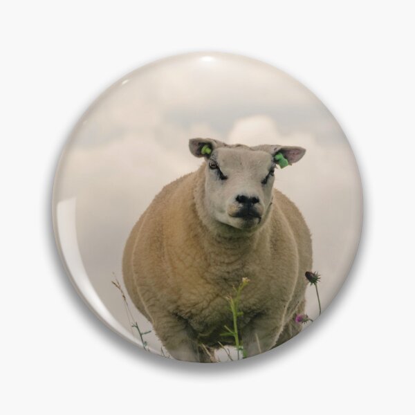 Item preview, Texel sheep designed and sold by koalas1414.