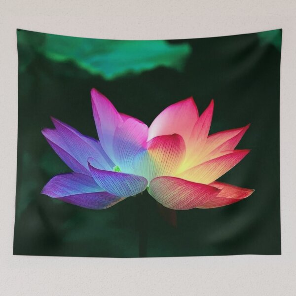 Item preview, SONATA designed and sold by Frogmuse.