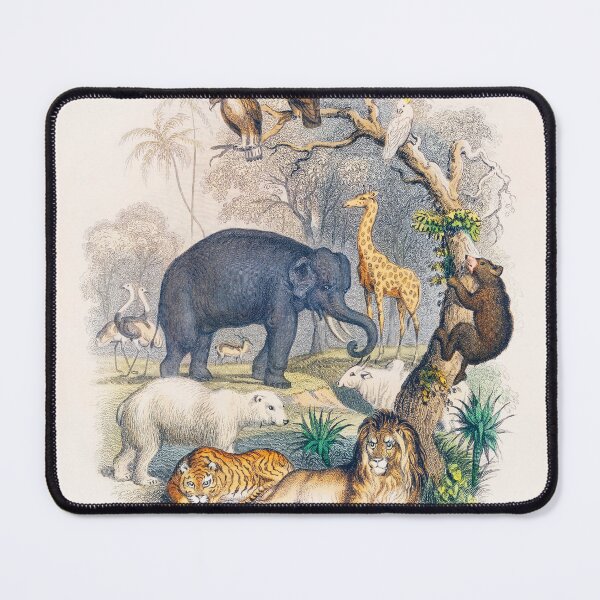 Cover of A history Mouse Pad