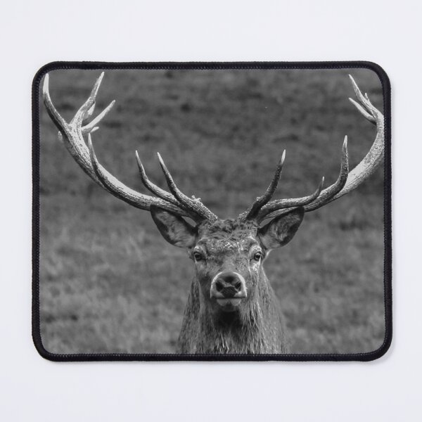 Item preview, Oh Deer designed and sold by Dalyndigital Photography.
