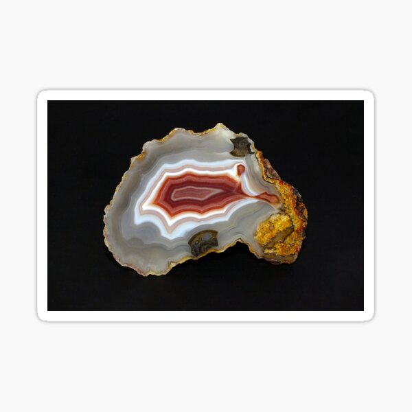 Item preview, Laguna Love designed and sold by Bill Morgenstern.
