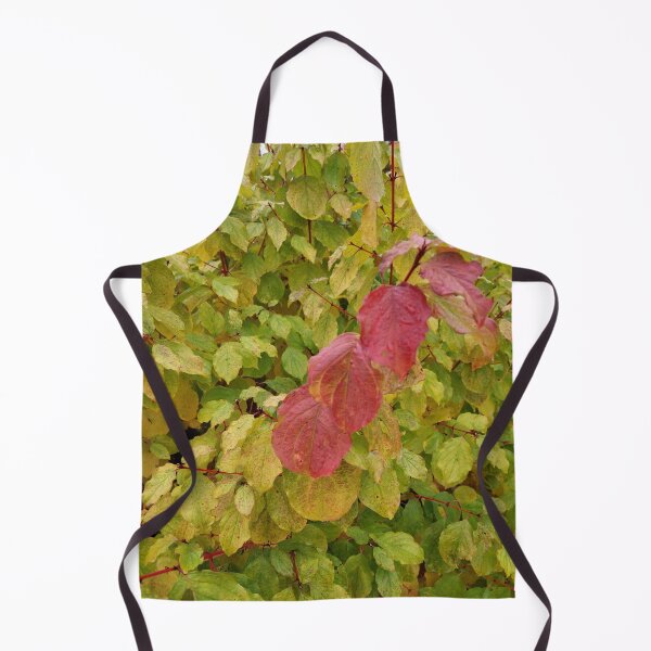 Item preview, Autumn colour designed and sold by jdphotos.