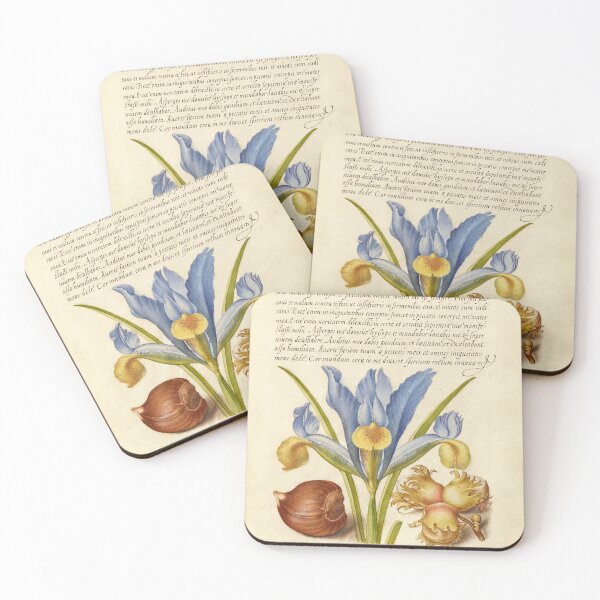 Item preview, Naturalist Manuscript: Insect, Flower, and Calligraphy Illumination by Joris Hoefnagel designed and sold by Naturalist Prints.