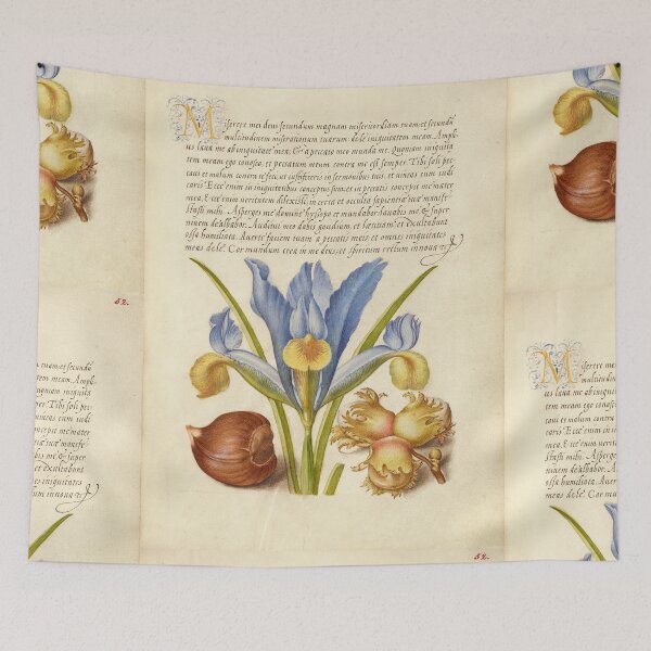 Item preview, Naturalist Manuscript: Insect, Flower, and Calligraphy Illumination by Joris Hoefnagel designed and sold by Naturalist Prints.