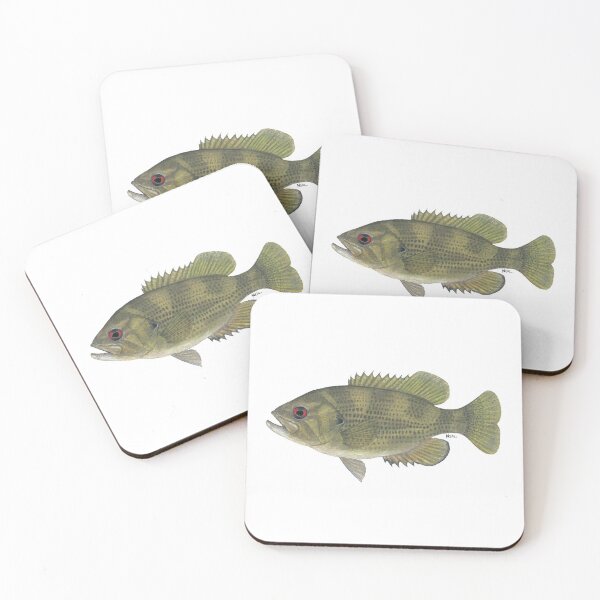 Item preview, Rock Bass (Ambloplites rupestris) designed and sold by LeakyCanoeArt.