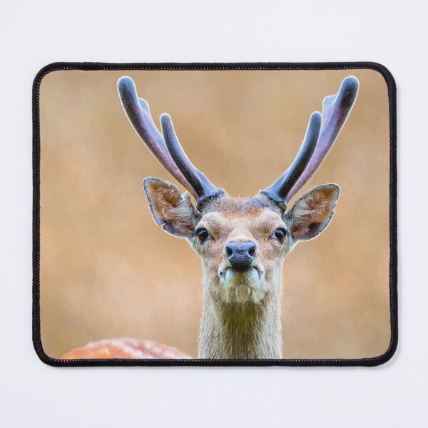Item preview, Sika Stag in Velvet designed and sold by Dalyndigital Photography.
