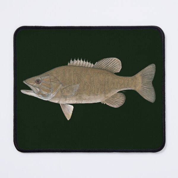 Item preview, Smallmouth Bass (Micropterus dolomieu) designed and sold by LeakyCanoeArt.