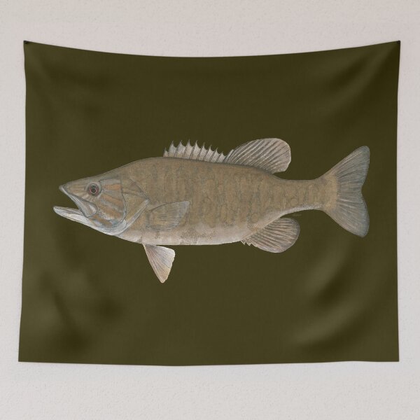Item preview, Smallmouth Bass (Micropterus dolomieu) designed and sold by LeakyCanoeArt.