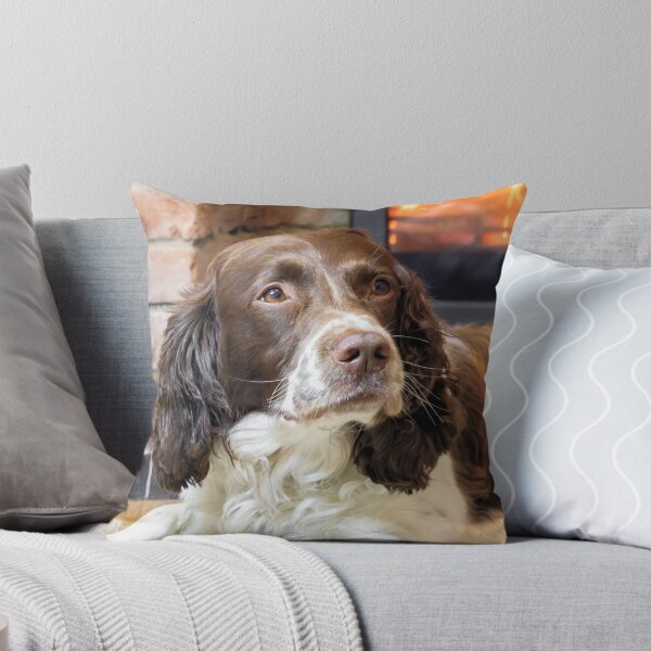 Item preview, The Spaniel designed and sold by JEZ22.