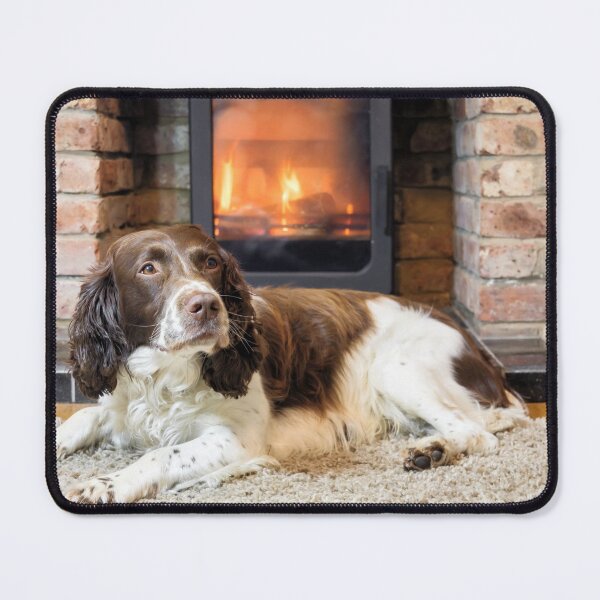 Item preview, The Spaniel designed and sold by JEZ22.