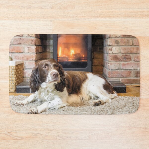 Item preview, The Spaniel designed and sold by JEZ22.