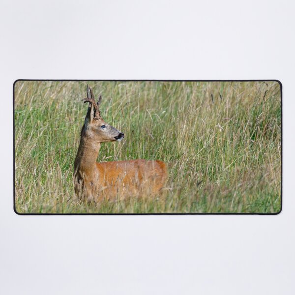 Item preview, Roe Deer in the long grass designed and sold by Dalyndigital Photography.