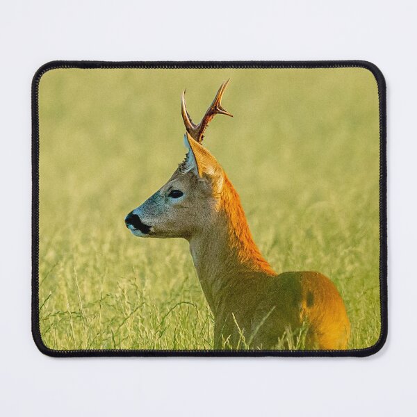 Item preview, Roe buck in the grass designed and sold by Dalyndigital Photography.