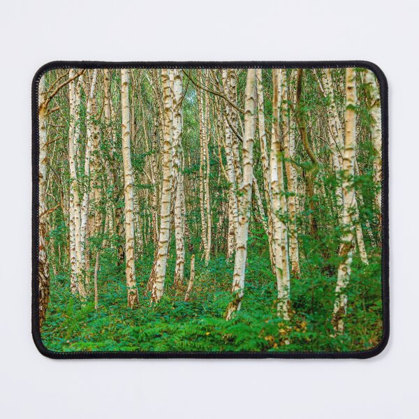 Item preview, Stark trunks of Silver Birch trees  designed and sold by Dalyndigital Photography.