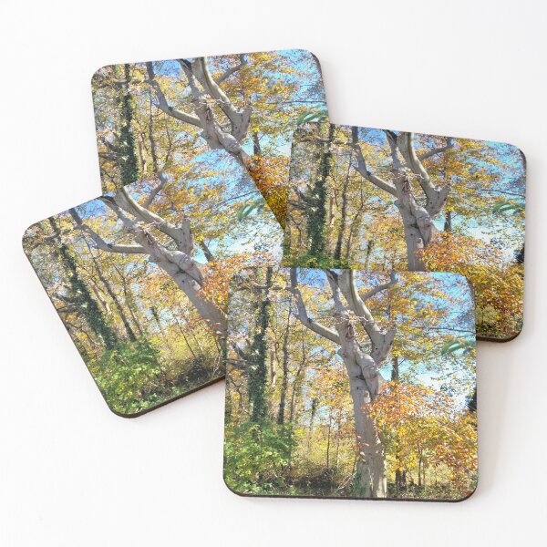 Item preview, True Tree Love designed and sold by TeaFairy Art.