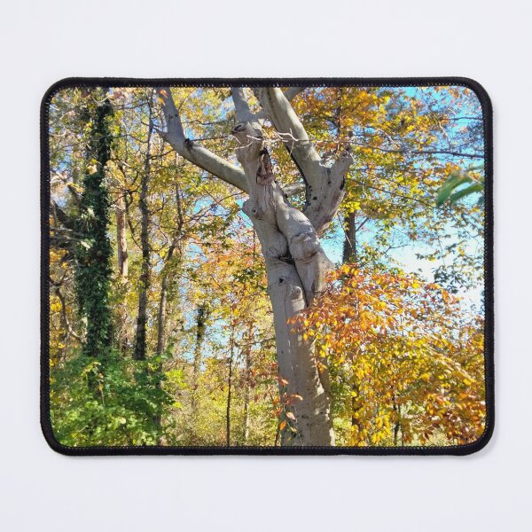Item preview, True Tree Love designed and sold by TeaFairy Art.