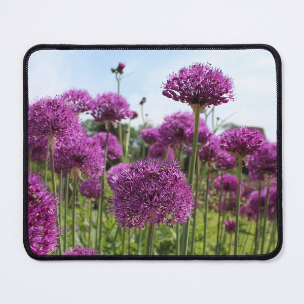Item preview, Natures Pom Poms designed and sold by Wildwestgilly.
