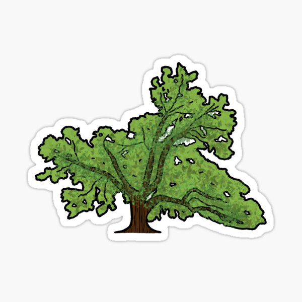 Item preview, Live oak tree (Quercus virginiana) designed and sold by rayazi.