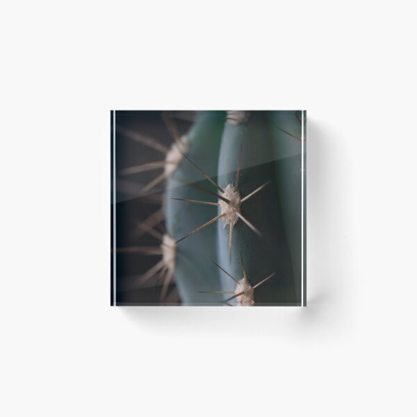 Item preview, Cactus  designed and sold by Donatella Loi.