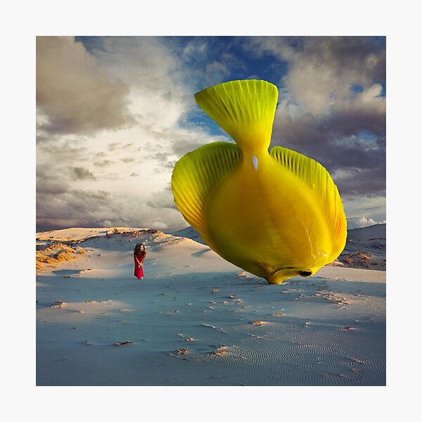 A Fish called Wanda Photographic Print