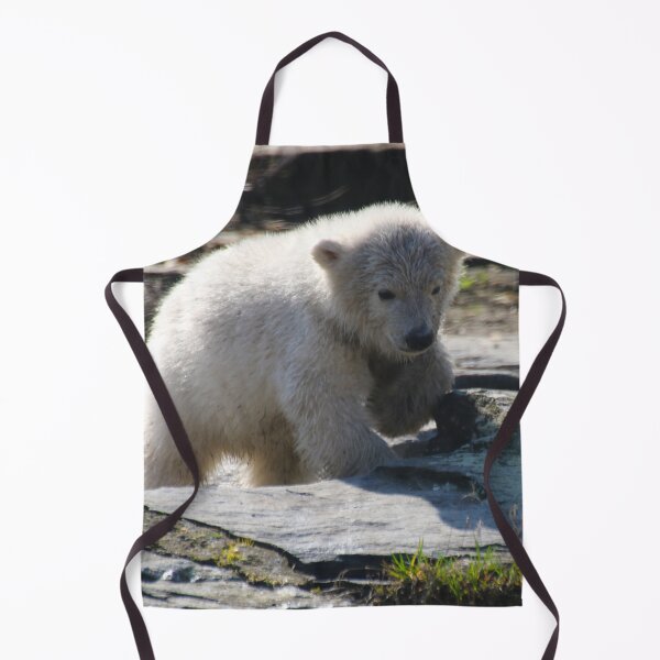 Item preview, PolarBear_20190301_by_JAMFoto designed and sold by JAMFoto.
