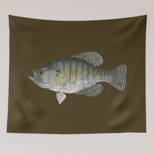 Item preview, White Crappie (Pomoxis annularis) designed and sold by LeakyCanoeArt.