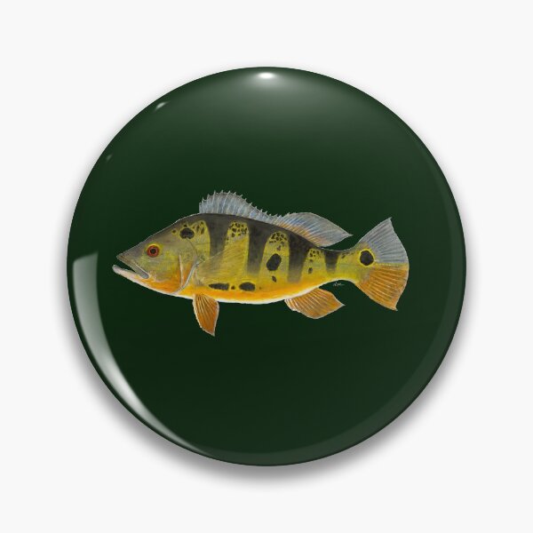 Item preview, Butterfly Peacock Bass (Cichla ocellaris) designed and sold by LeakyCanoeArt.