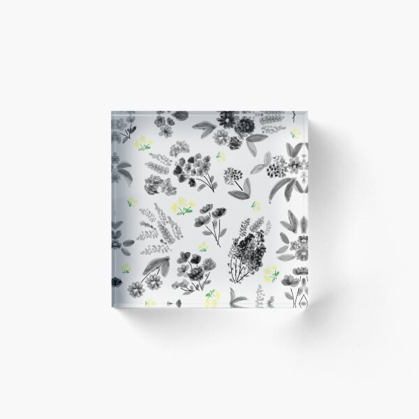 Acrylic Block