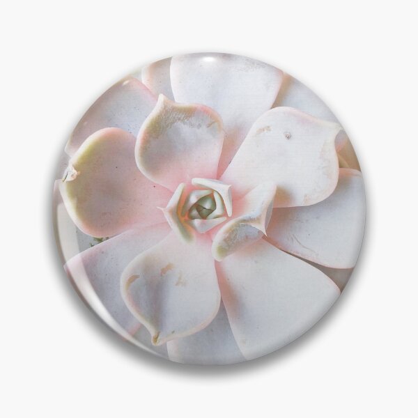 Item preview, Pink Succulent II designed and sold by Cassia Beck.