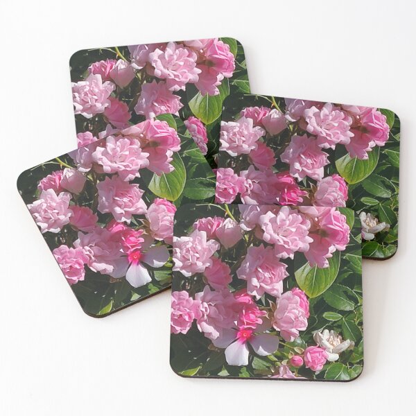 Item preview, Beautiful and Delicate Pink Roses in the Garden on Green Bushes designed and sold by branaghbel.