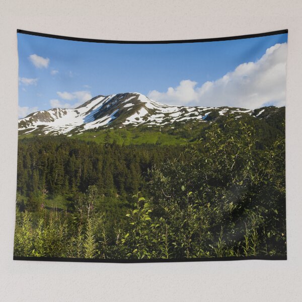 Item preview, Scenic view from the Seward Highway in the Chugach National Forest, Alaska designed and sold by OrcaNature.