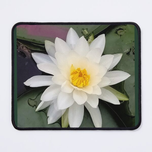 Item preview, Lilly Lotus Lettuce designed and sold by TeaFairy Art.