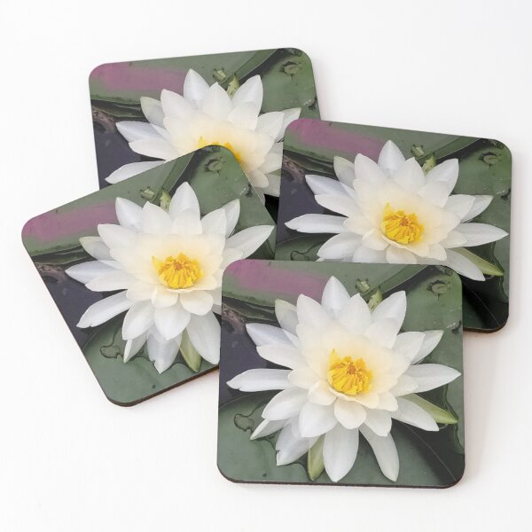Item preview, Lilly Lotus Lettuce designed and sold by TeaFairy Art.