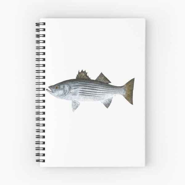 Item preview, Striped Bass (Morone saxatilis) designed and sold by LeakyCanoeArt.