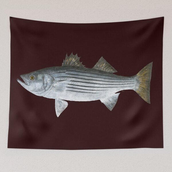 Item preview, Striped Bass (Morone saxatilis) designed and sold by LeakyCanoeArt.