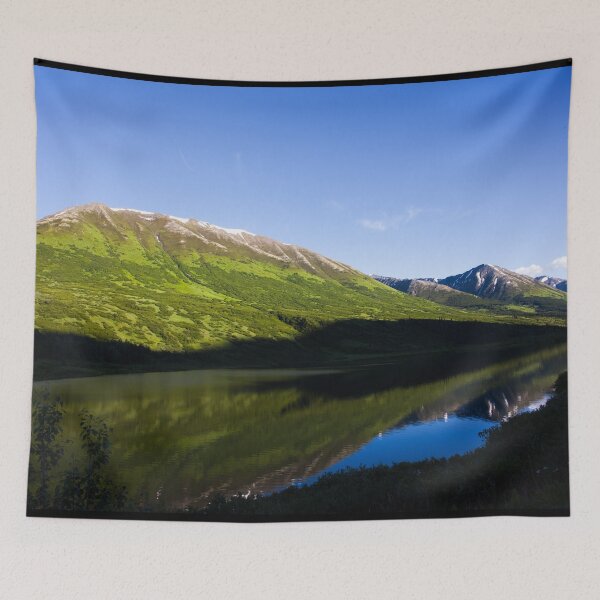 Item preview, Scenic view from the Seward highway in the Chugach National Forest, Alaska designed and sold by OrcaNature.