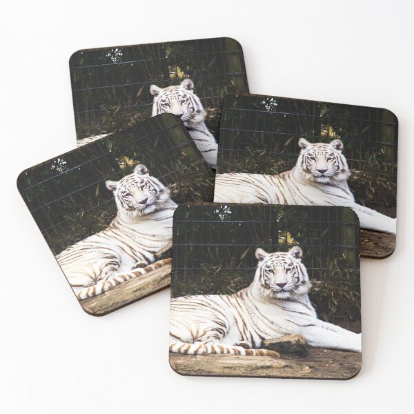 Item preview, White Tiger, Montgomery Zoo, Montgomery, Alabama designed and sold by OrcaNature.