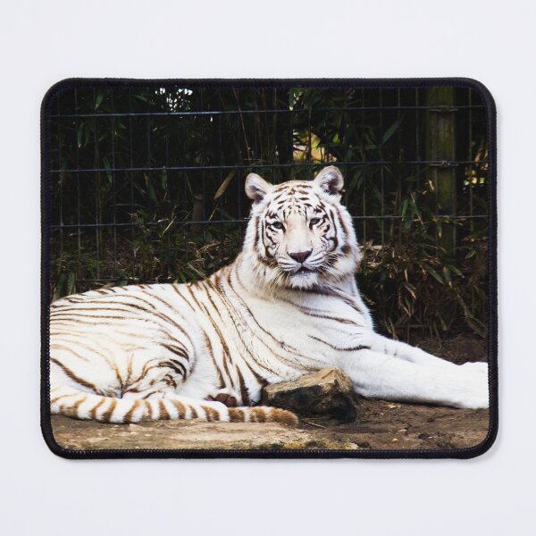 Item preview, White Tiger, Montgomery Zoo, Montgomery, Alabama designed and sold by OrcaNature.