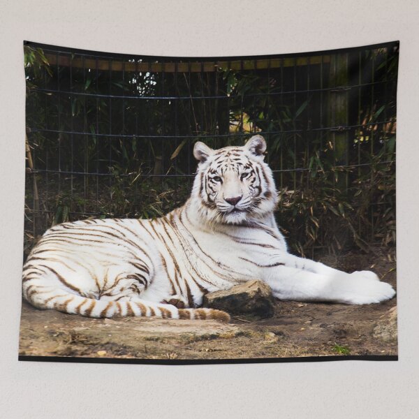 Item preview, White Tiger, Montgomery Zoo, Montgomery, Alabama designed and sold by OrcaNature.