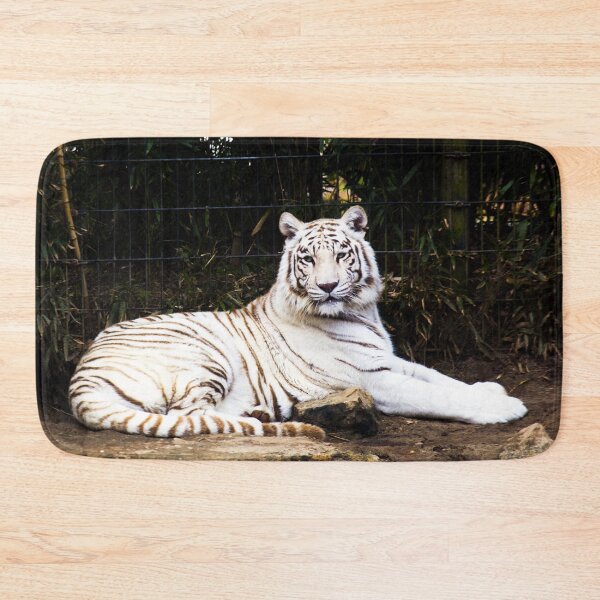 Item preview, White Tiger, Montgomery Zoo, Montgomery, Alabama designed and sold by OrcaNature.