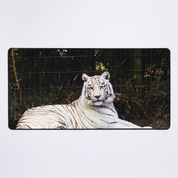 Item preview, White Tiger, Montgomery Zoo, Montgomery, Alabama designed and sold by OrcaNature.
