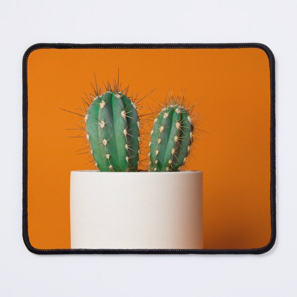 Item preview, Succulent plant in the pot designed and sold by Donatella Loi.
