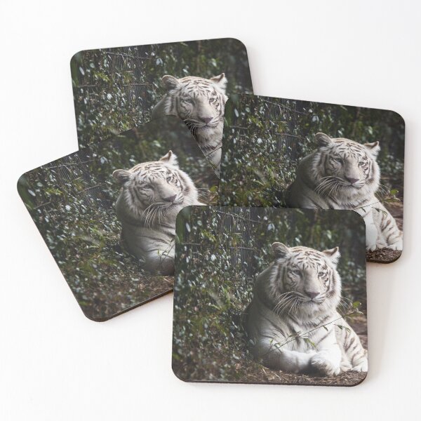 Item preview, White Tiger, Montgomery Zoo, Montgomery, Alabama designed and sold by OrcaNature.