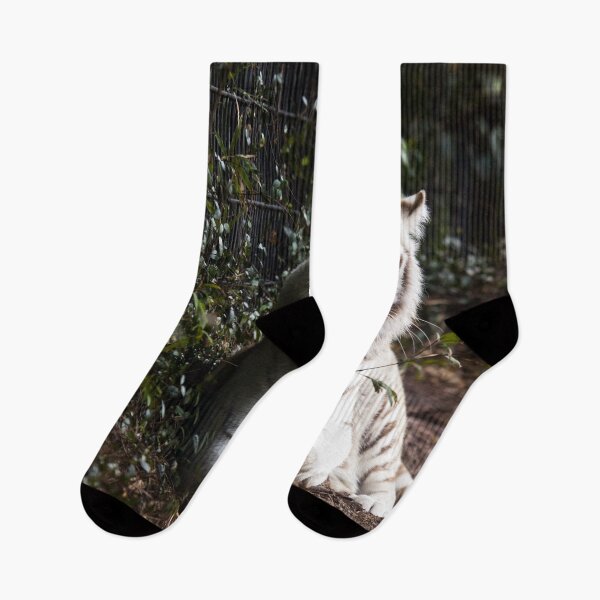 Item preview, White Tiger, Montgomery Zoo, Montgomery, Alabama designed and sold by OrcaNature.
