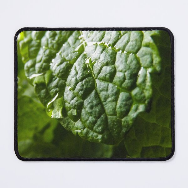 Item preview, Mint Leaf designed and sold by TWSmith-Art.