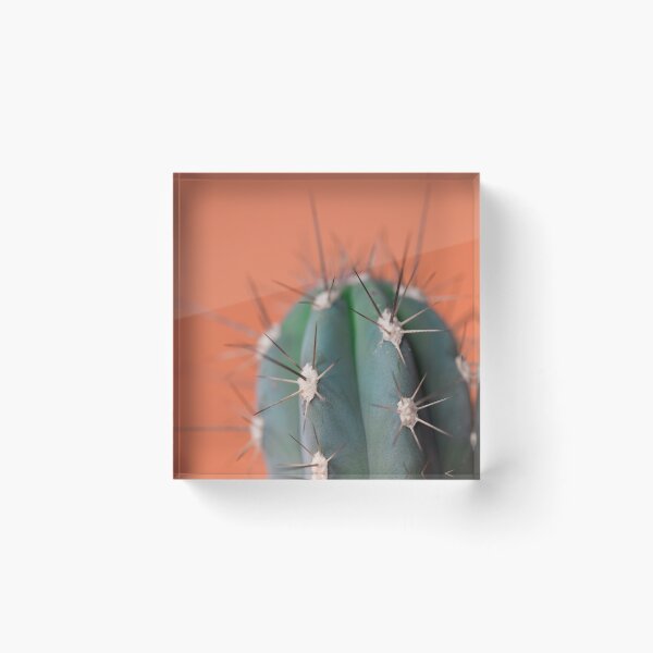 Item preview, Cactus designed and sold by Donatella Loi.